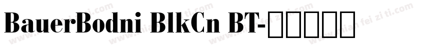 BauerBodni BlkCn BT字体转换